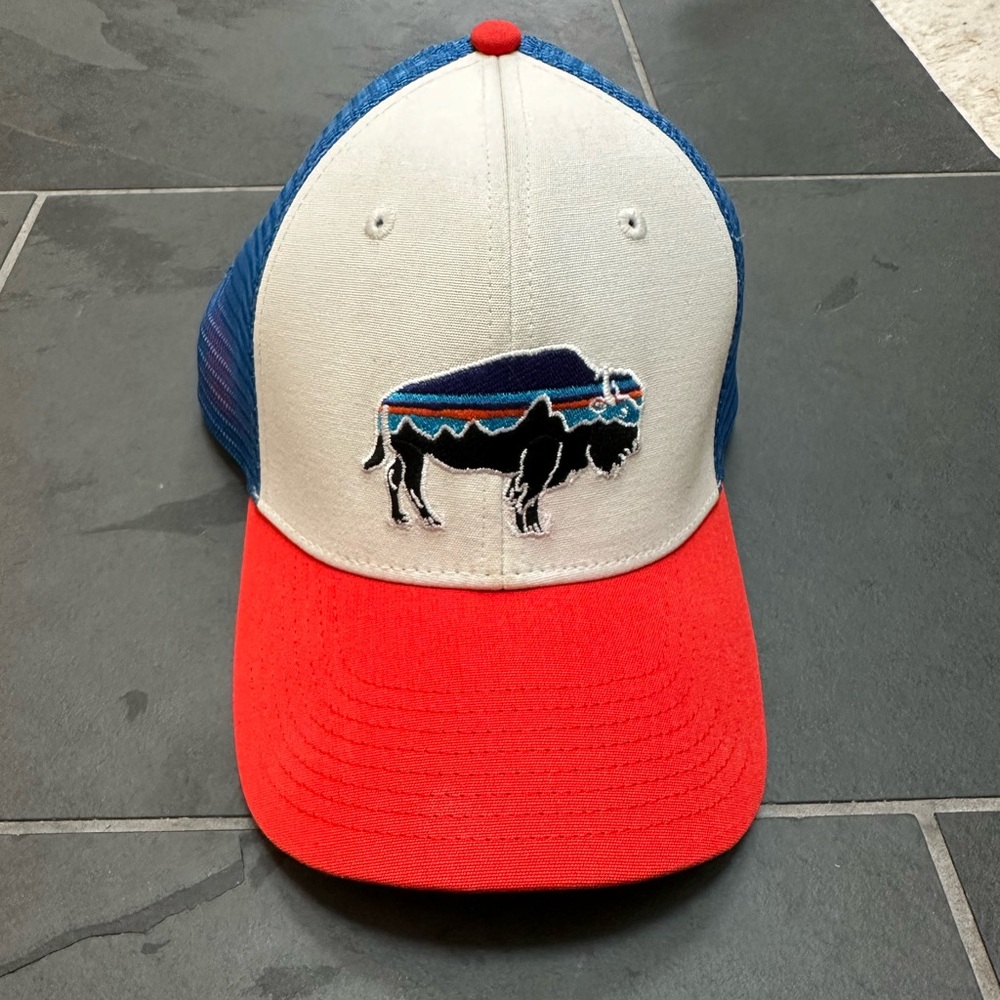 Patagonia Fitz Roy Bison Trucker Hat
